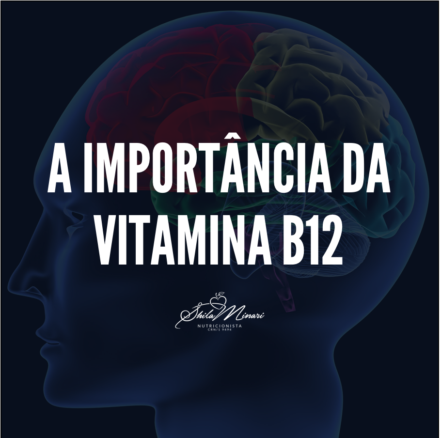 No momento você está vendo A Importância da Vitamina B12